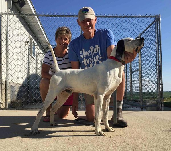 About Hackberry Kennels